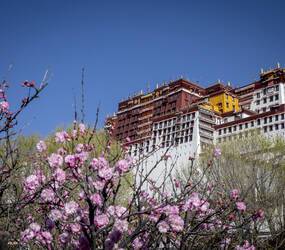 TIBET CREDIT JULIE ANSIAU LHASSA