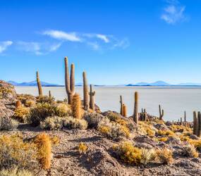 Bolivie Uyuni Starcevic iStock 645808020
