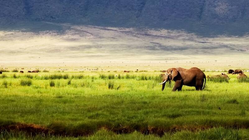 Safari Ngorongoro Crater delbars Fotolia