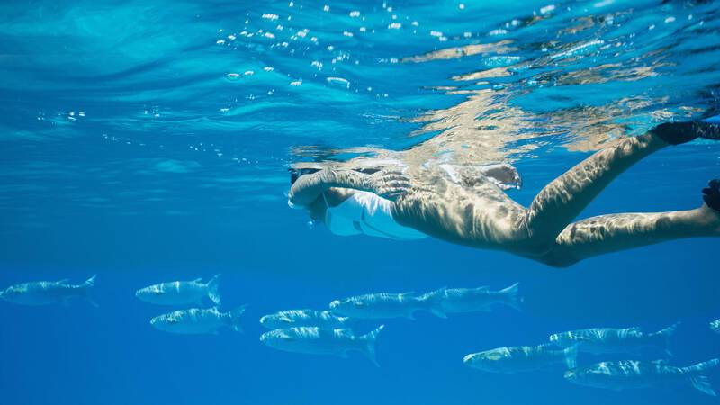 Raffles Seychelles Snorkeling