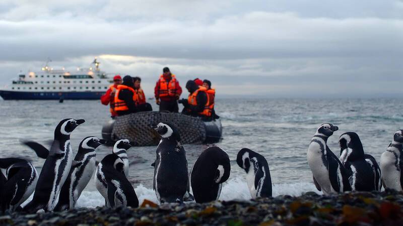 Circuit Chili Croisiere Australis Patagonie Excursion Pingouins