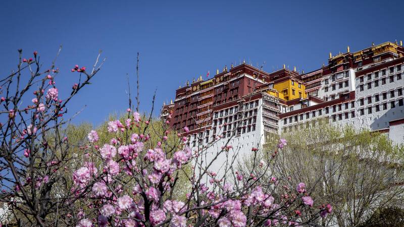 TIBET CREDIT JULIE ANSIAU LHASSA