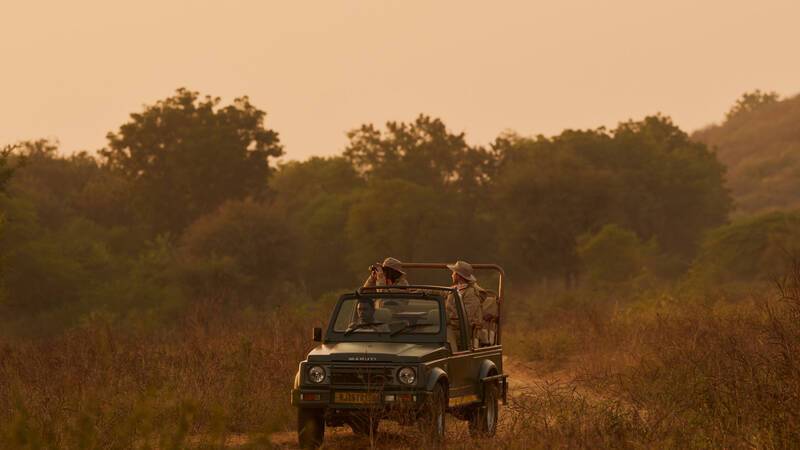 Aman i Khas Inde Safari 