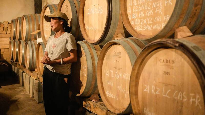 Yunnan Chine Songtsam Cizhong Xiaoling Winery