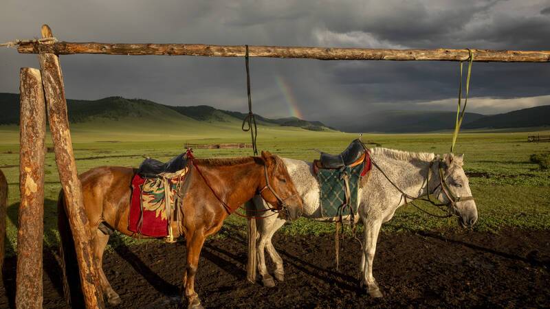 Circuit Mongolie Credit Julie Ansiau Chevaux _MG_9666