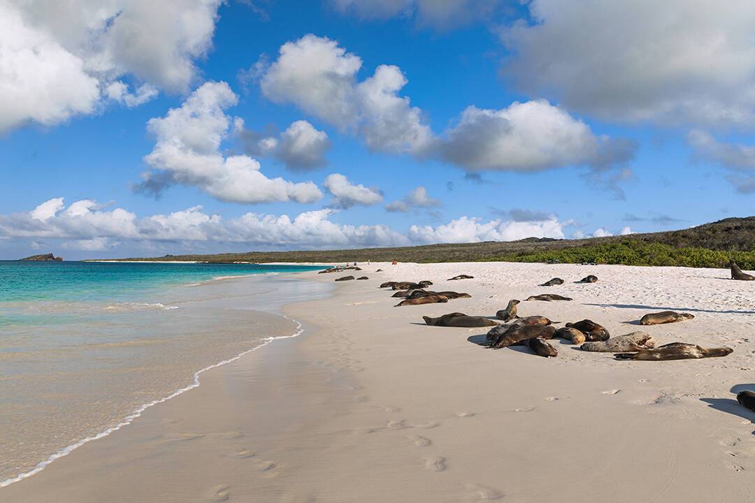 TITILAKA Lodge Sur les rives du Lac Titicaca