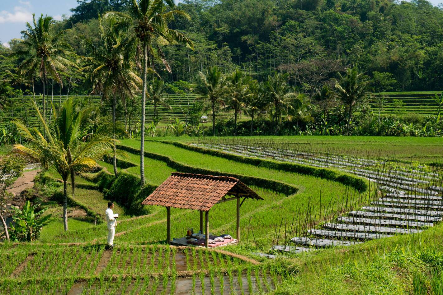 Amanjiwo Java Indonesie Pique Nique Riziere