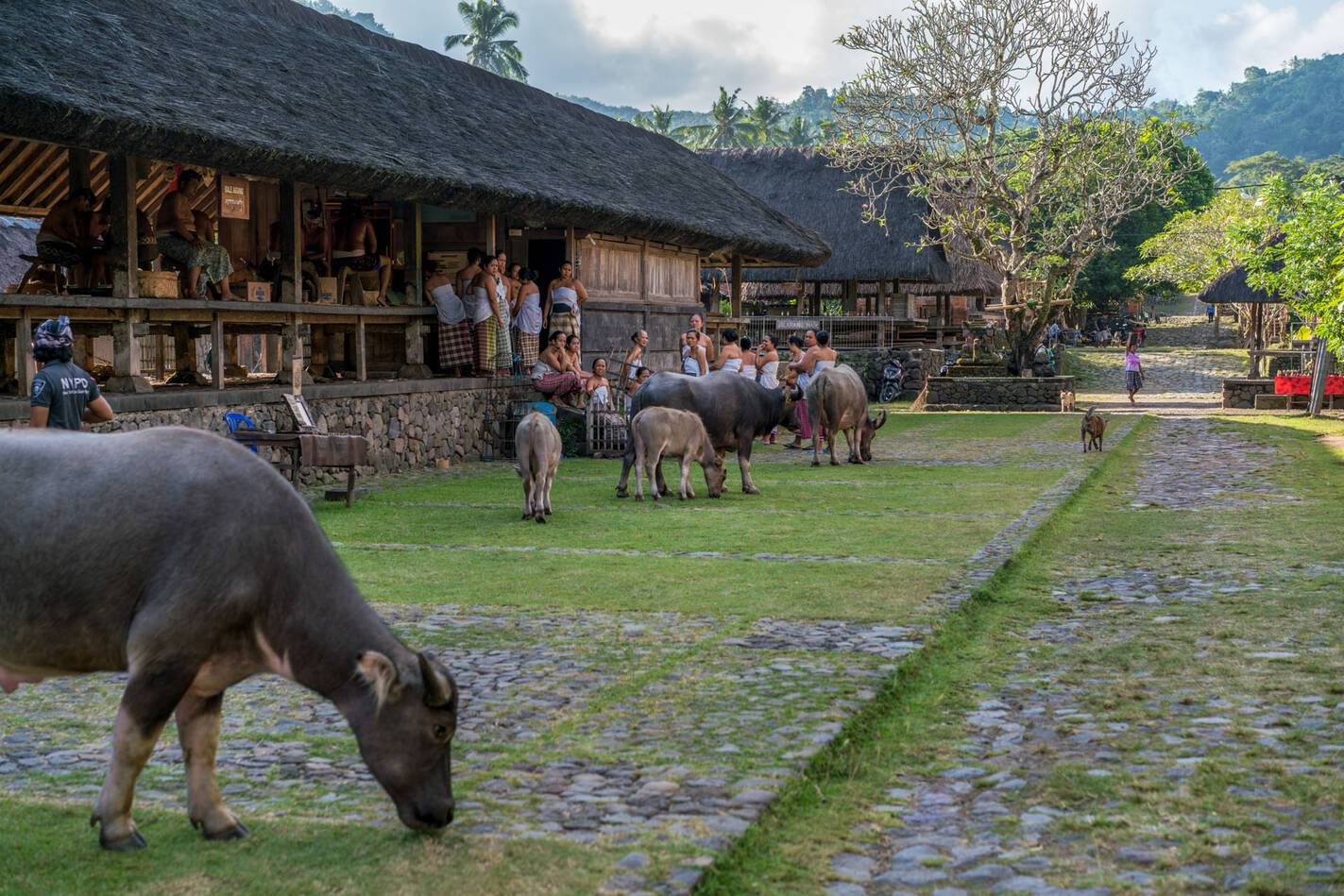 Amankila Indonesie Bali Tenganan