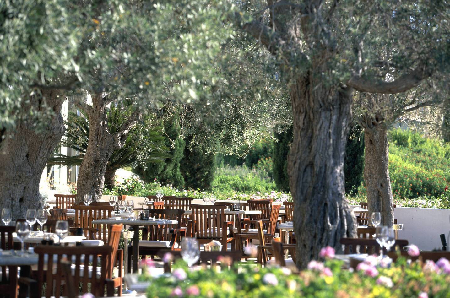 Anassa Restaurant Ampora Chypre