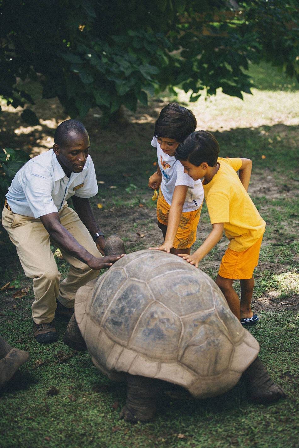 Raffles Seychelles Kids Tortoise Feeding