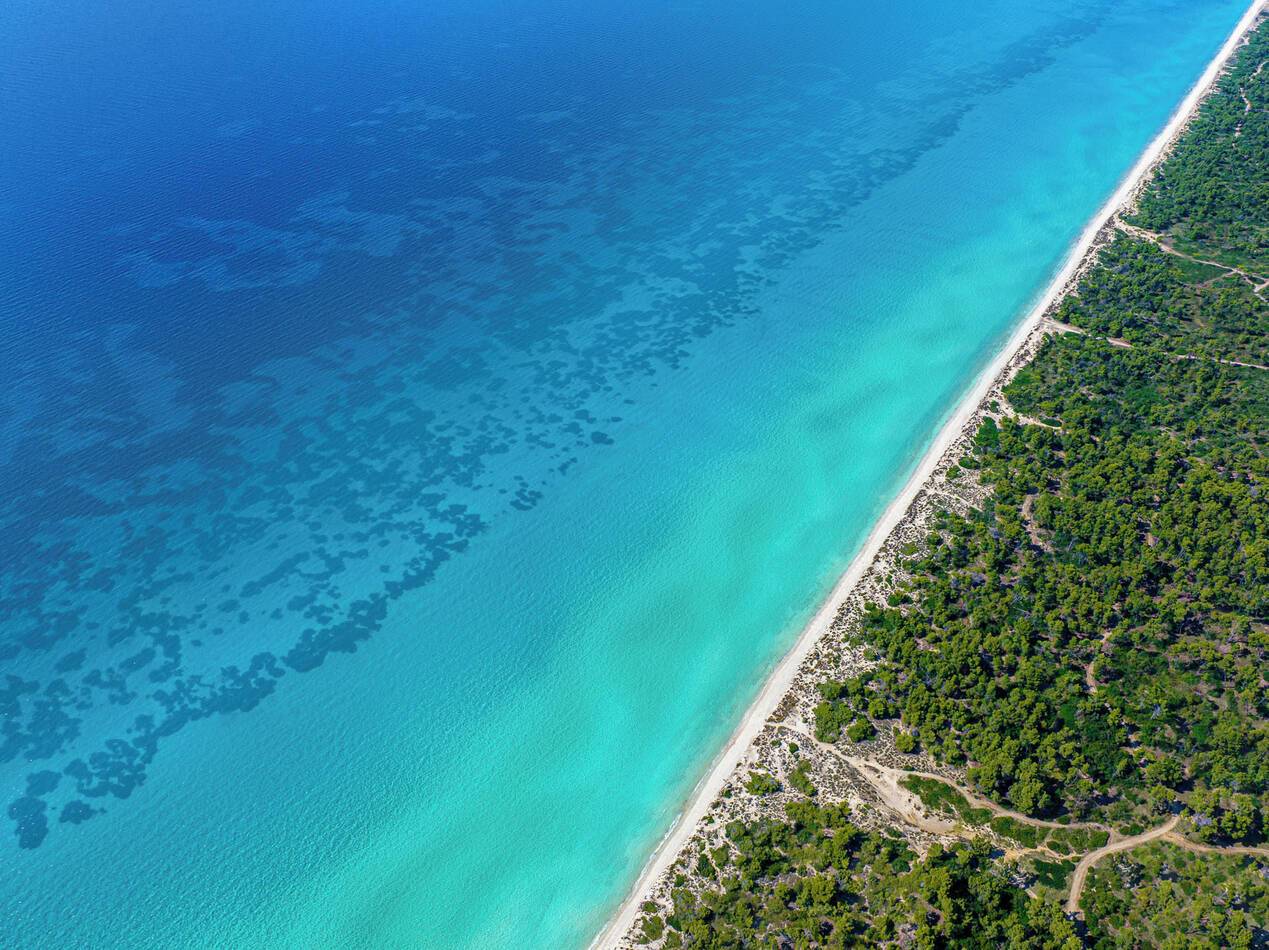 Sani Resort Thessalonique Grece Plage