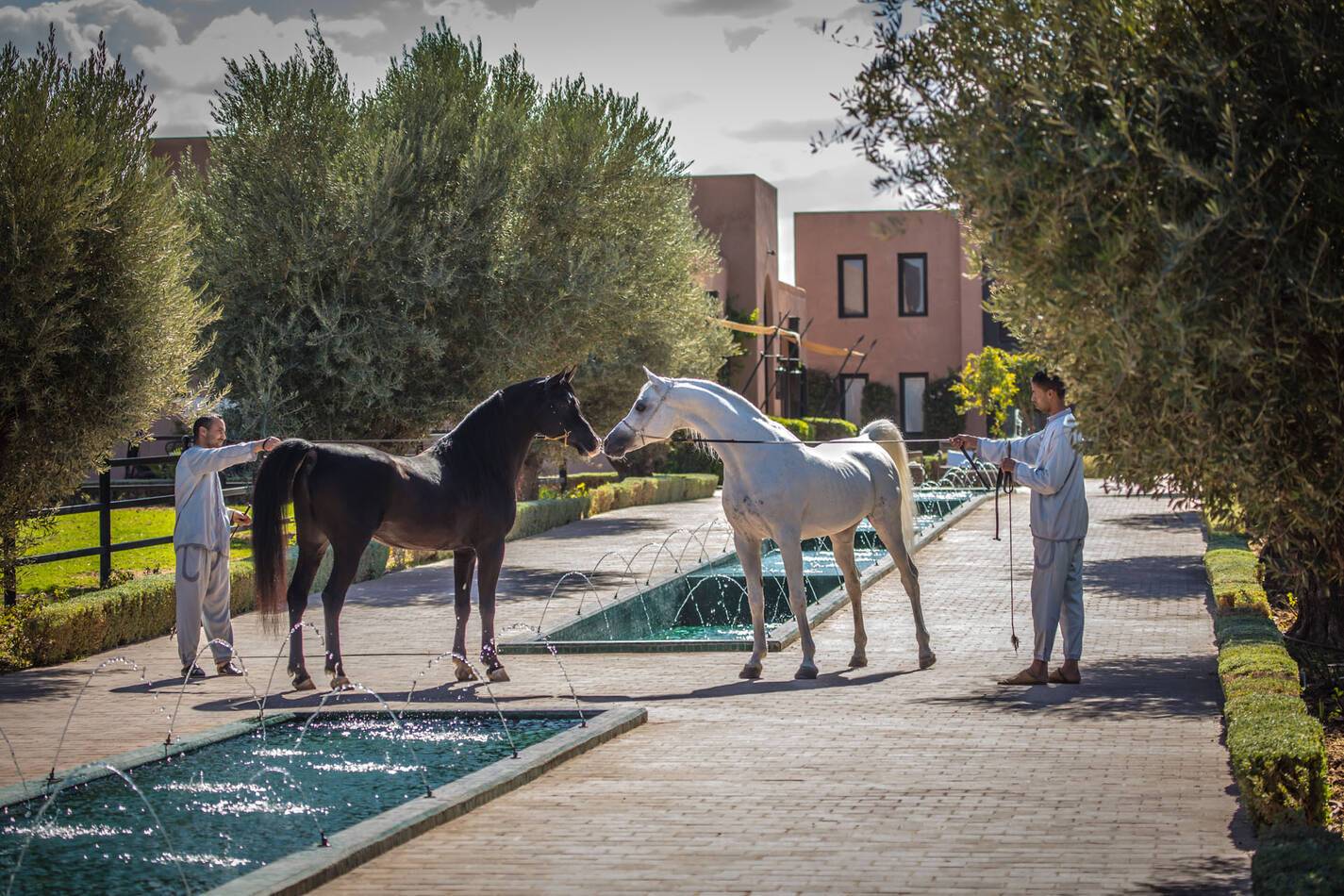 Selman Hotel Marrakech Horses
