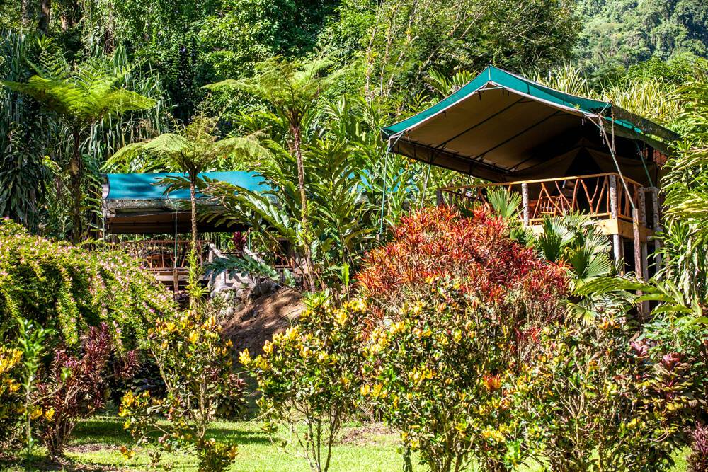 Monteverde Costa Rica Rafiki Safari Lodge
