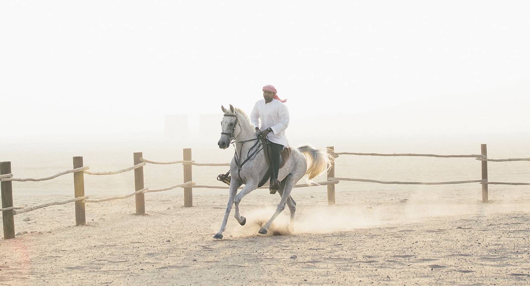 Abu Dhabi Anantara Qasr al Sarab Desert Chevaux
