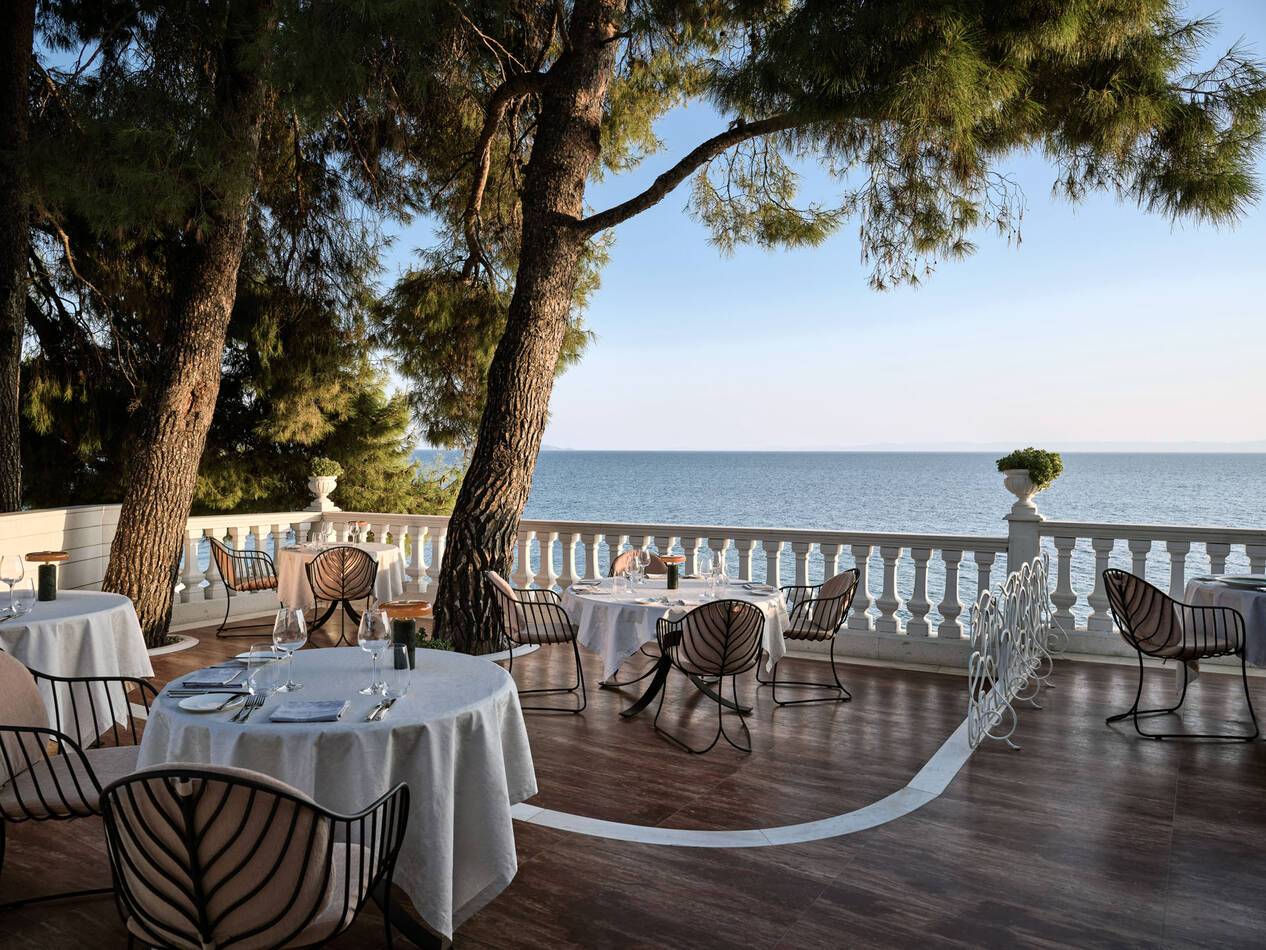 The Danai Halkidiki Grece Squirrel