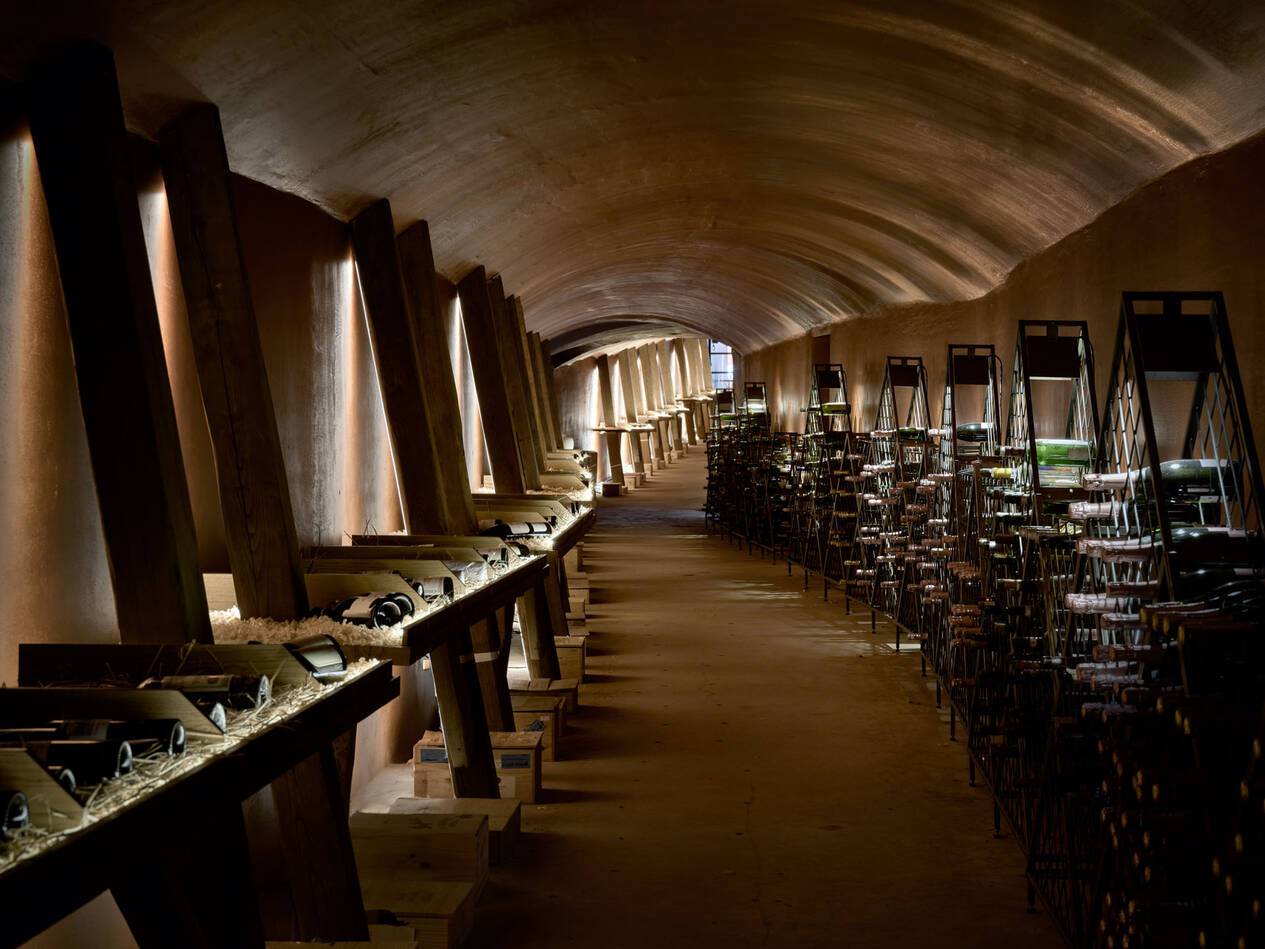 The Danai Halkidiki Grece Wine Cellar
