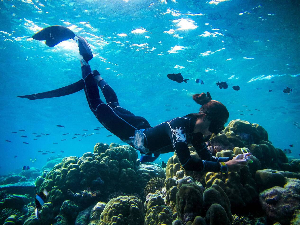 Cheval Blanc Randheli Maldives S Candito Marine Biologist