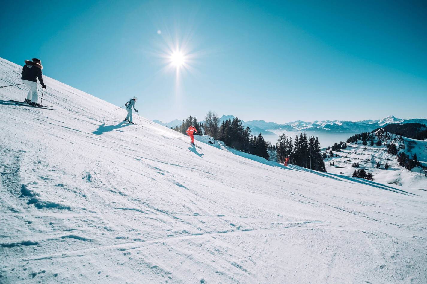 Chalet Royalp Villars Sur Ollon Suisse Ski