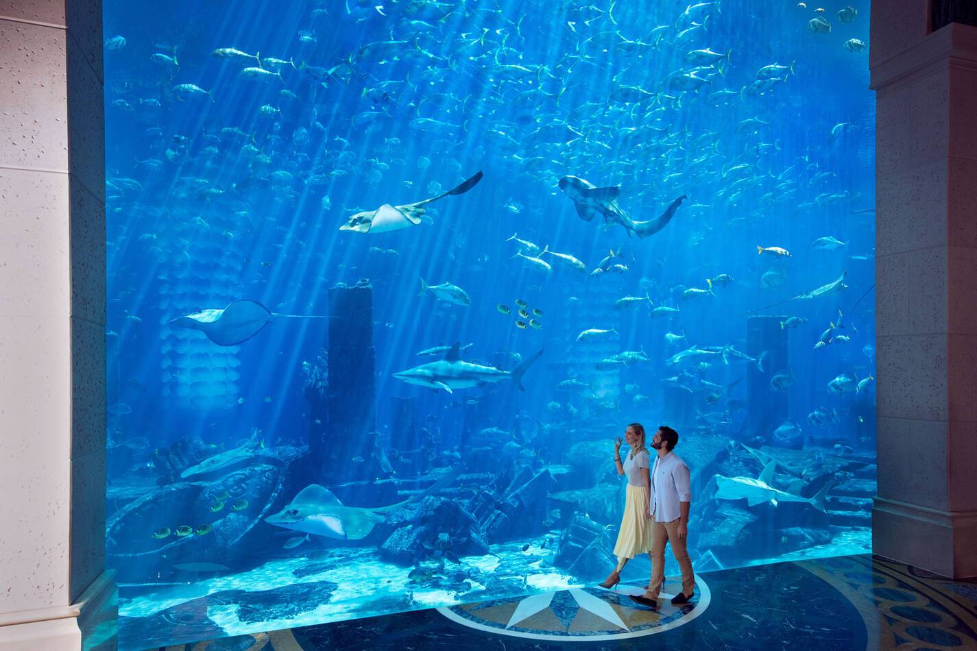 Atlantis Hotel Dubai Aquarium Experiences
