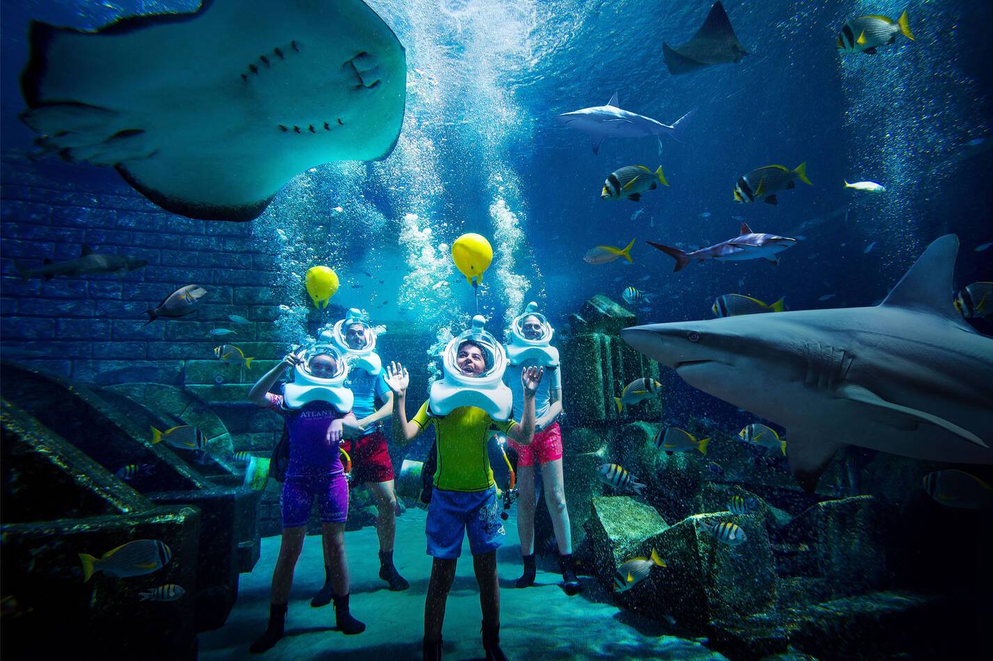 Atlantis Hotel Dubai Shark Safari