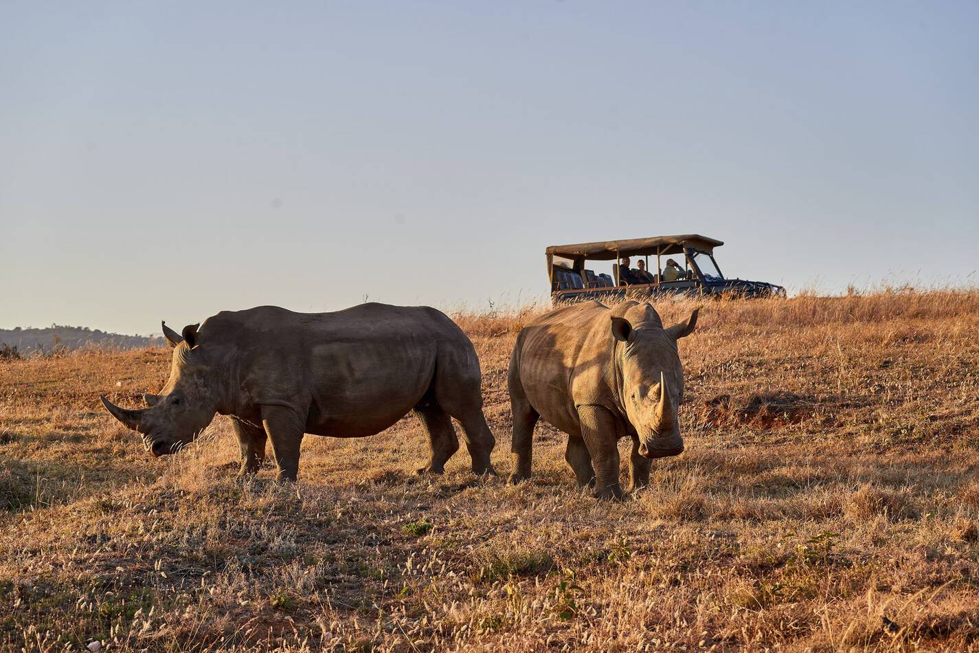 Kenya Laikipia Lengishu Brian Siambi Rhinoceros