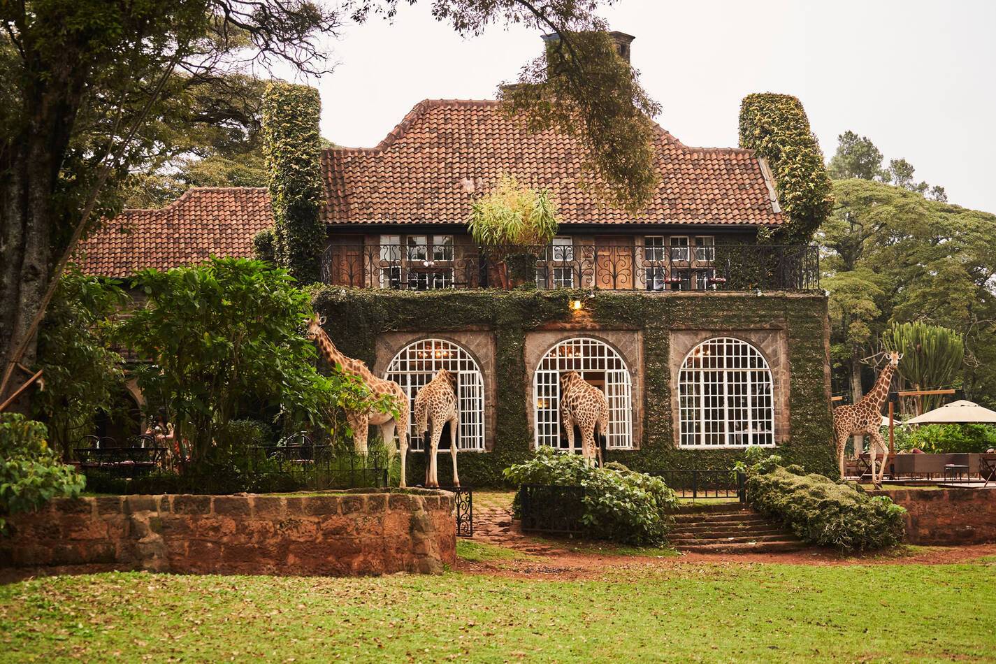 Kenya Naibori Giraffe Manor