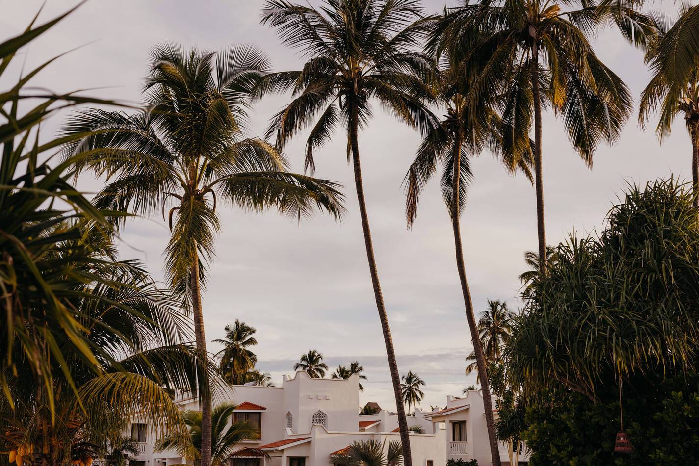 LUX Marijani Zanzibar Vue