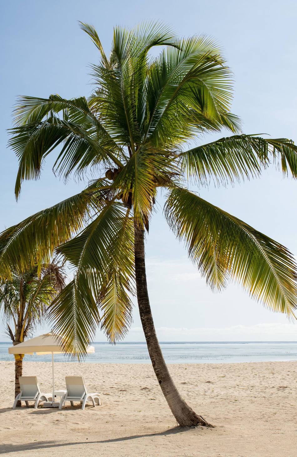 LUX Marijani Zanzibar plage