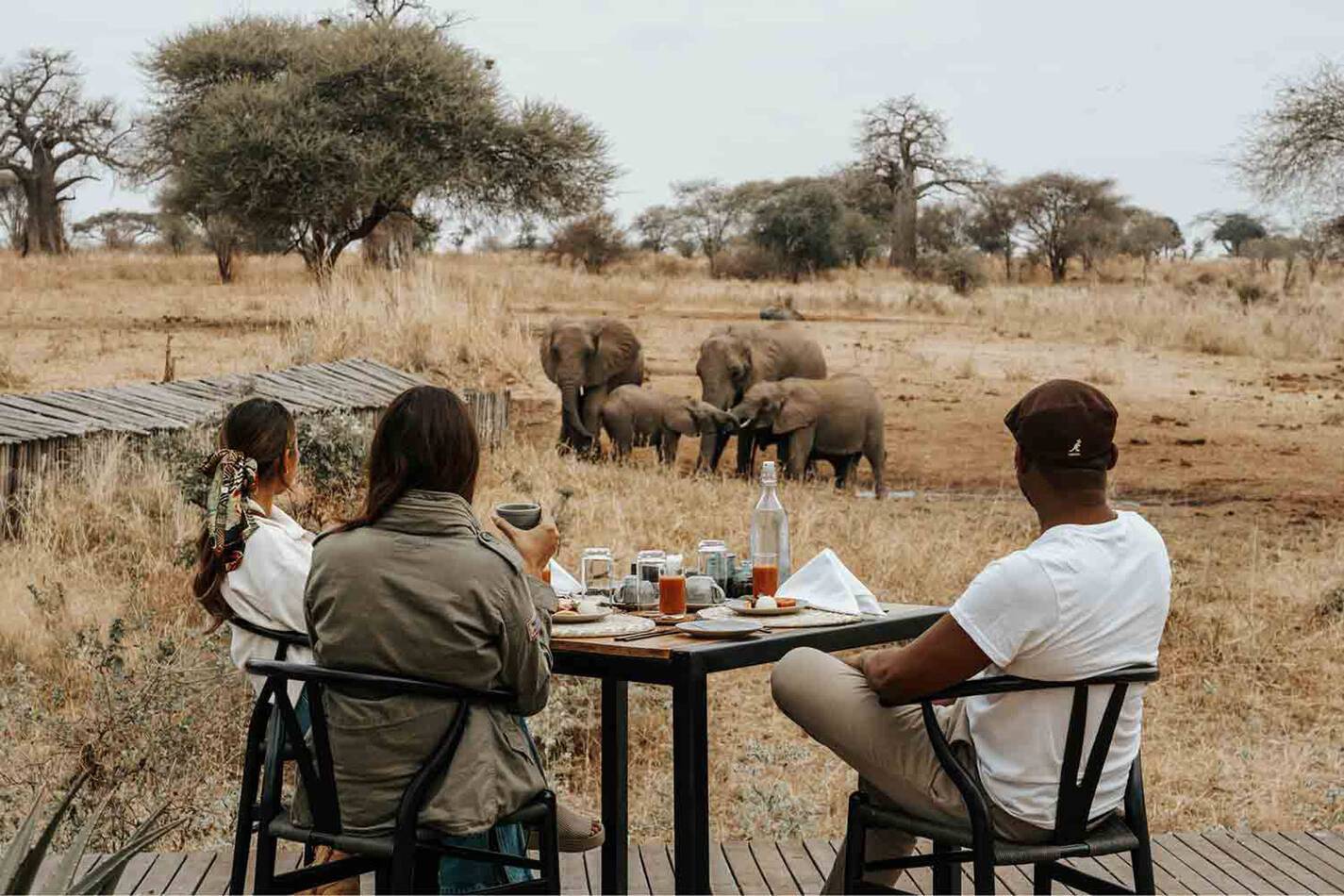 Nimali Tarangire Tanzanie Petit Dej