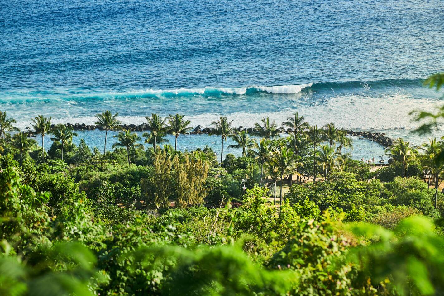 Palm Hotel Spa Reunion Piscine naturelle