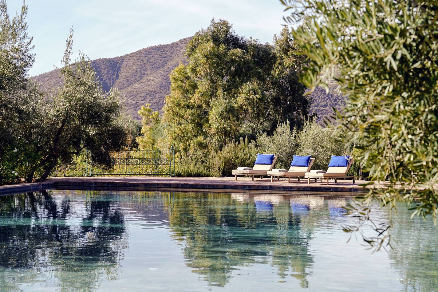 Olinto Vue Piscine