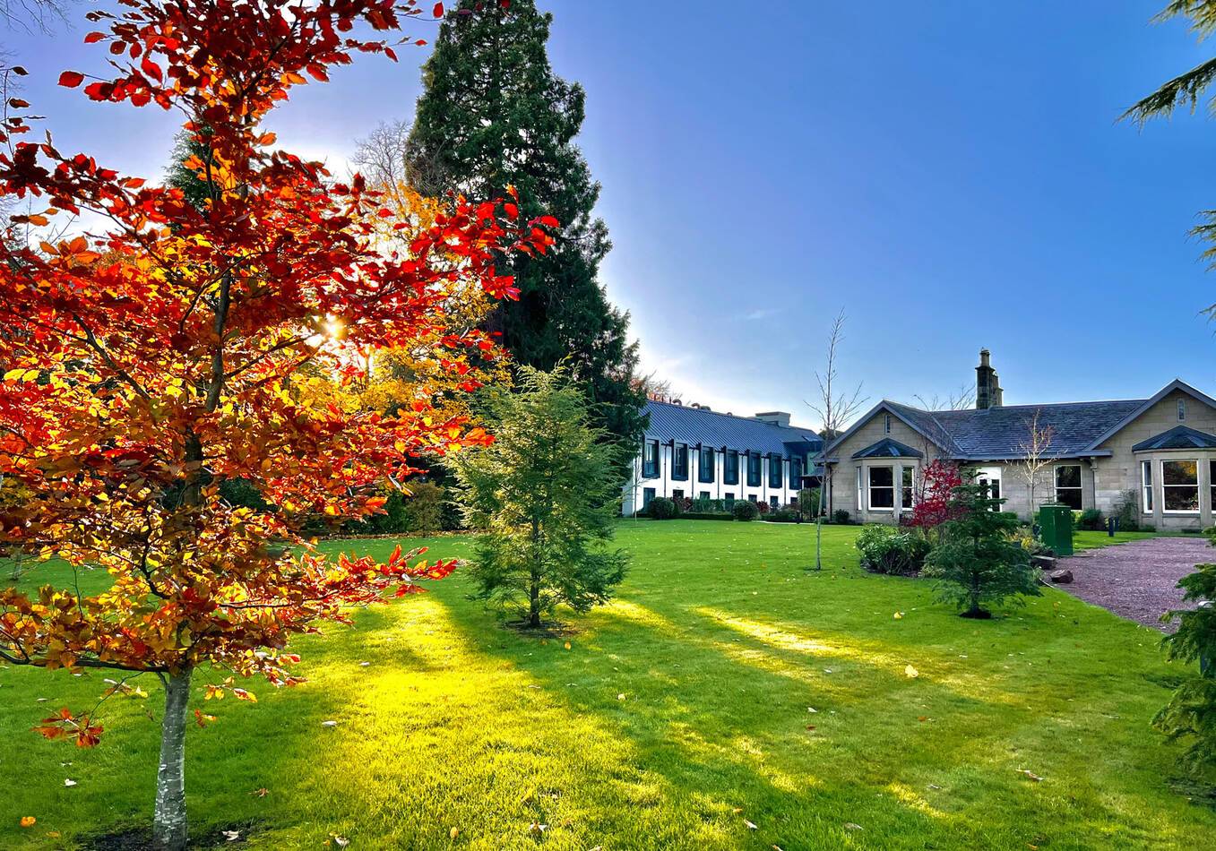 Ecosse Ness Walk Gardens Courtyard