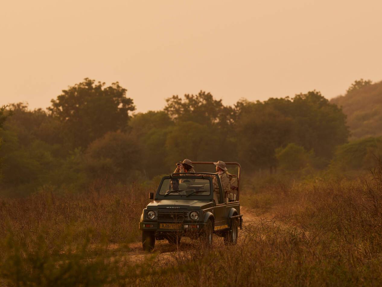 Aman i Khas Inde Safari