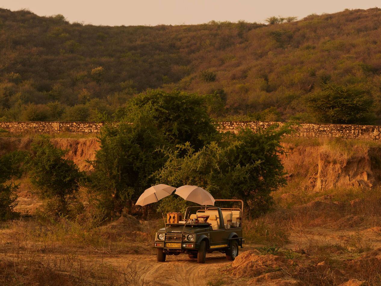 Aman i Khas Inde Safari
