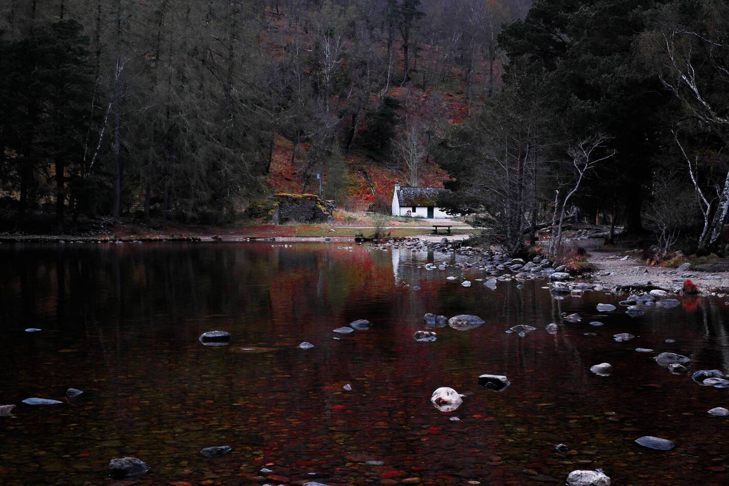 Train Royal Scotsman Ecosse Paysage