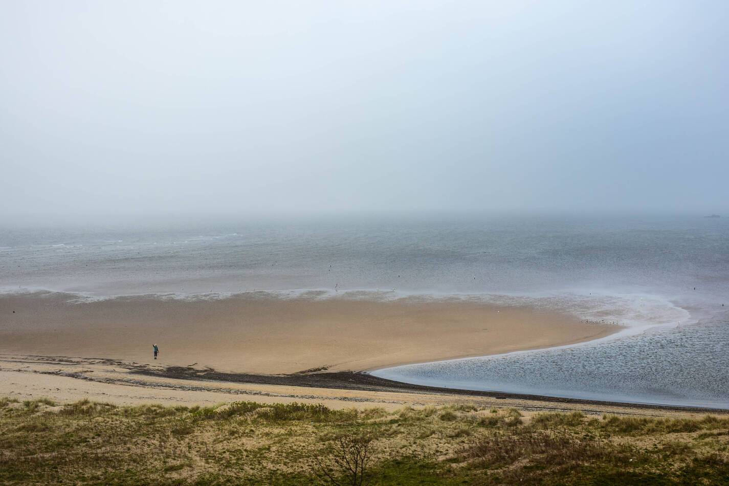 Train Royal Scotsman Ecosse Vue