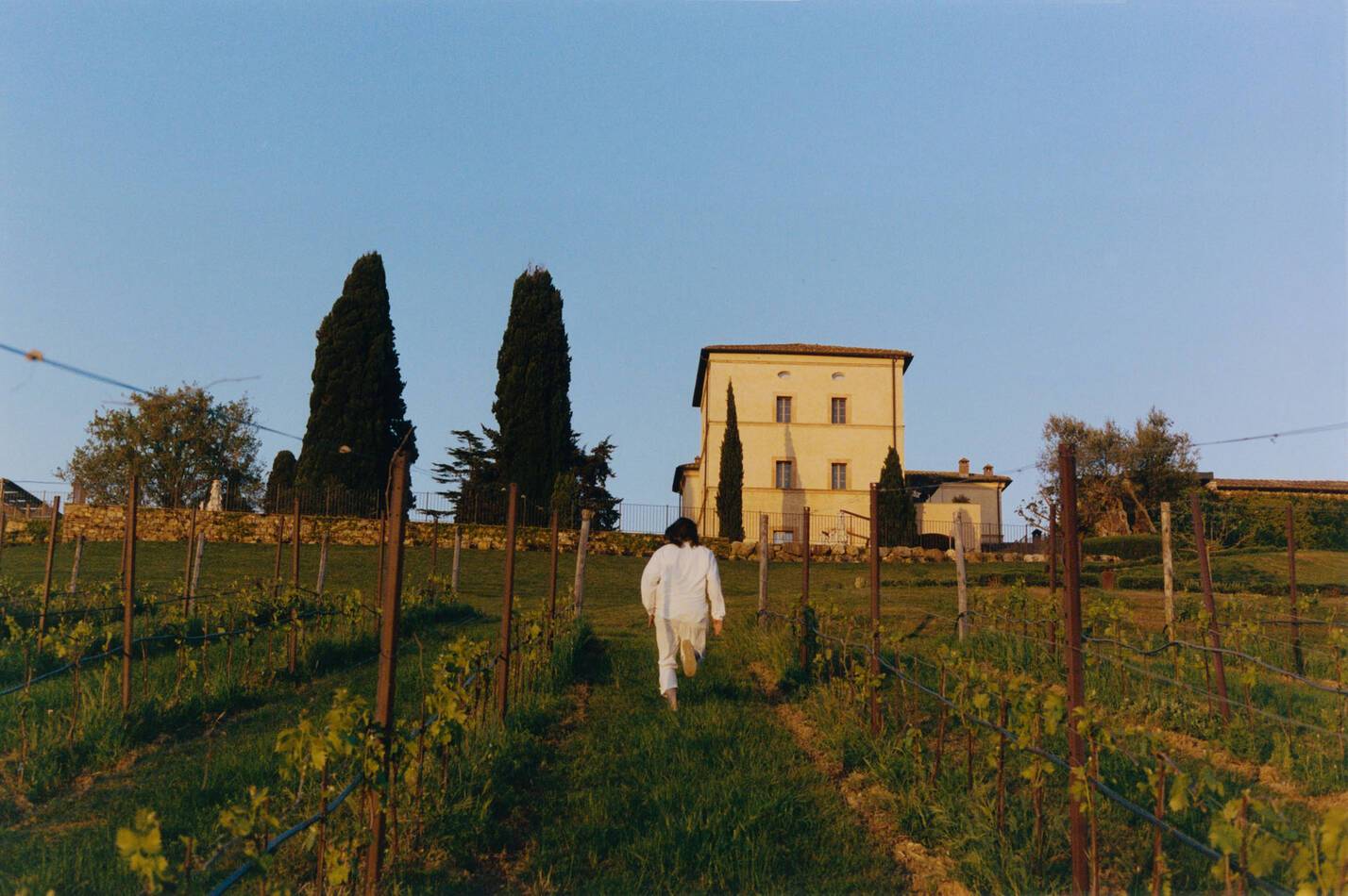 Castello di Casole Belmond Toscane Vignes